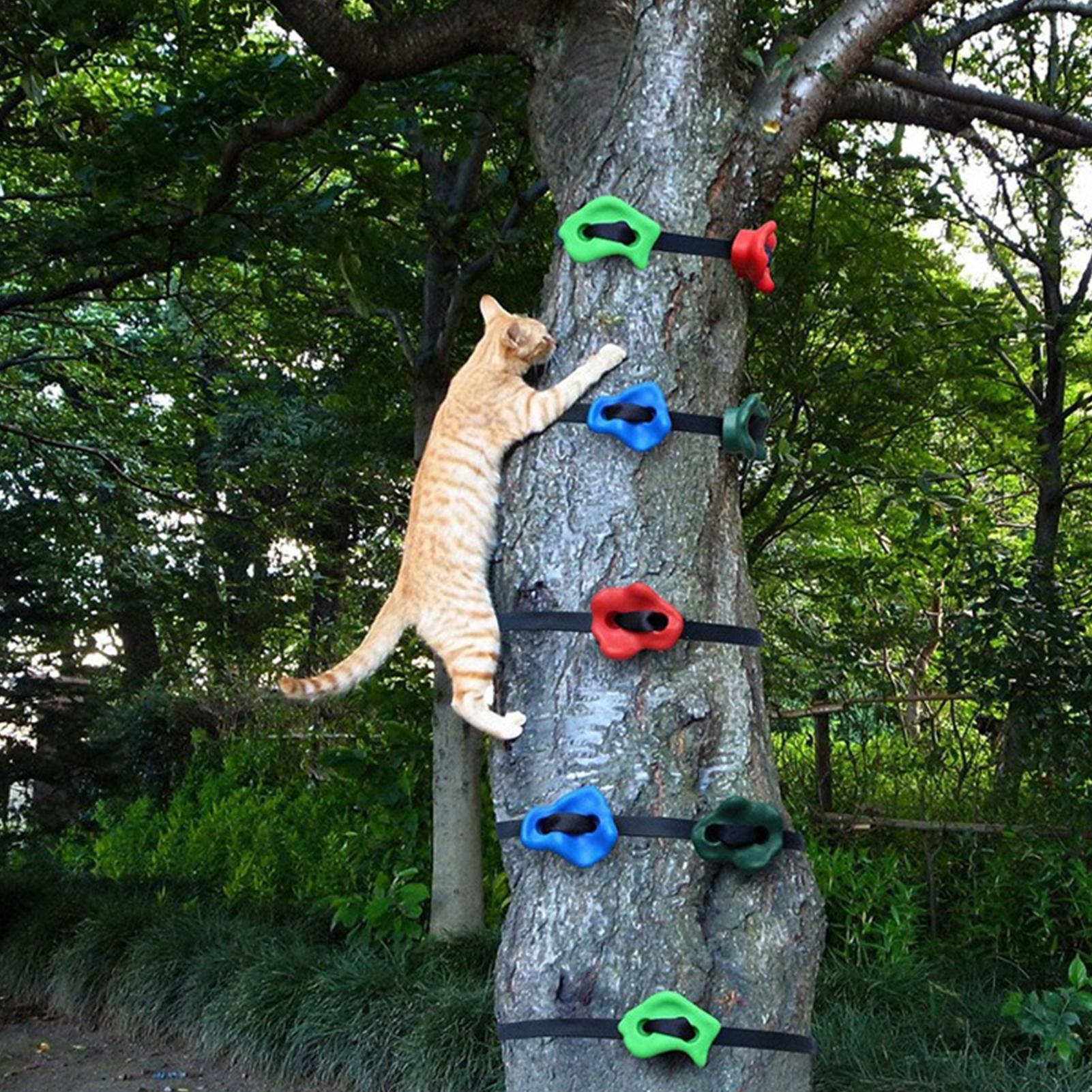 ของเล่นปีนป่ายกลางแจ้ง ปรับระด - Kids Outdoor Obstacle Course Equipment บทวิจารณ์และราคา
